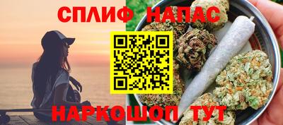 МДПВ Новозыбков