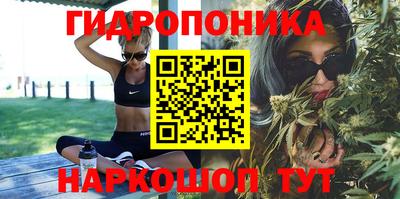 СК Новодвинск