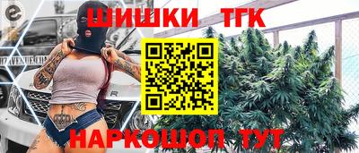 МДПВ Новозыбков