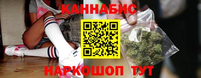 СК Новодвинск