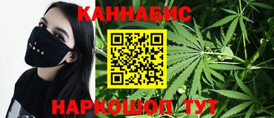 МДПВ Новозыбков