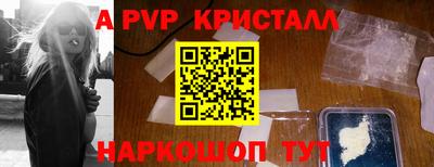 СК Новодвинск