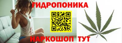 СК Новодвинск