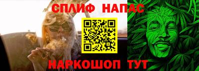 МДПВ Новозыбков