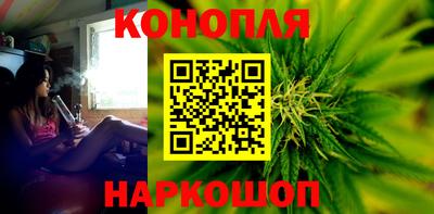МДПВ Новозыбков
