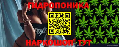 СК Новодвинск