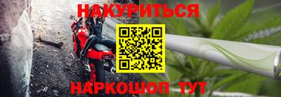 МДПВ Новозыбков
