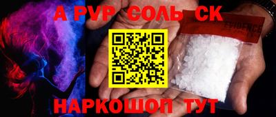 СК Новодвинск