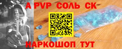 СК Новодвинск