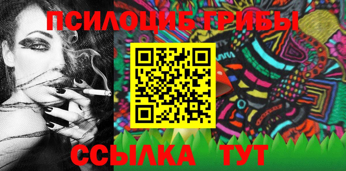 Псилоцибиновые грибы Psilocybine cubensis  Псилоцибиновые грибы мицелий  Вход с VPN  Серов 