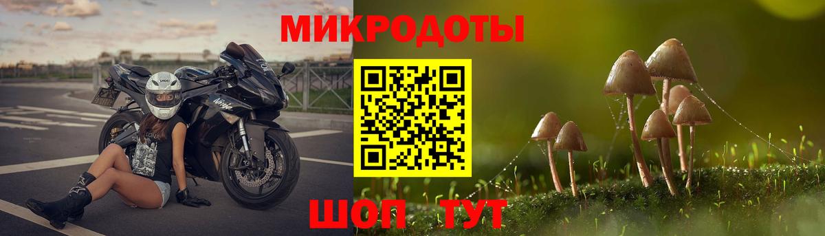 Псилоцибиновые грибы Magic Shrooms Серов