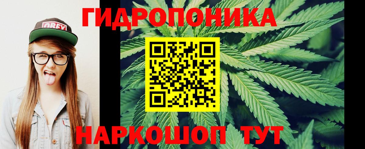 Канабис планчик Серов
